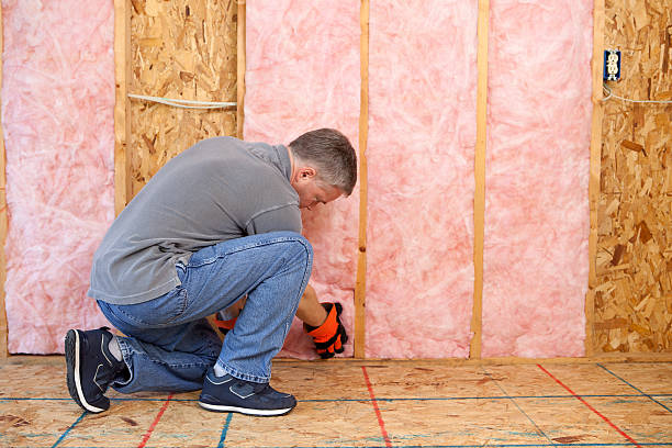 Eco-Friendly or Green Insulation Solutions in Lake Delton, WI